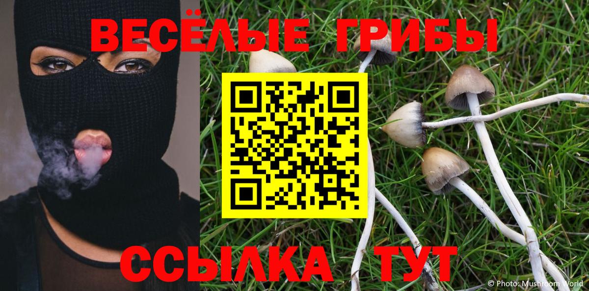 Галлюциногенные грибы ЛСД  Вход с VPN  Дмитров 